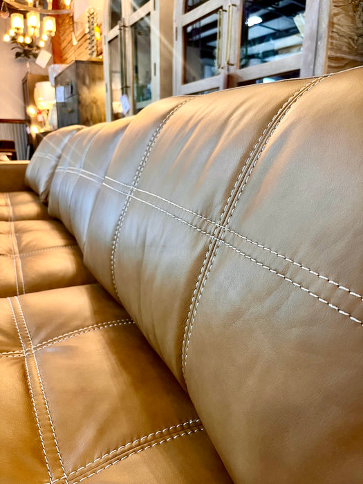 Apollosa Leather Sectional